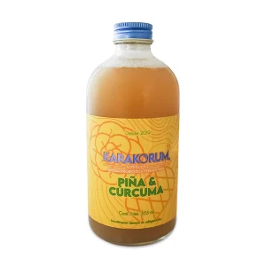 Kombucha