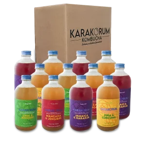 Kombucha Sabores Surtidos 12 Pack