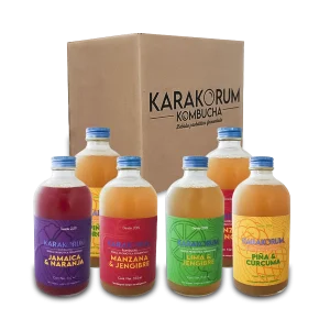 Kombucha Sabores Surtidos 6 Pack