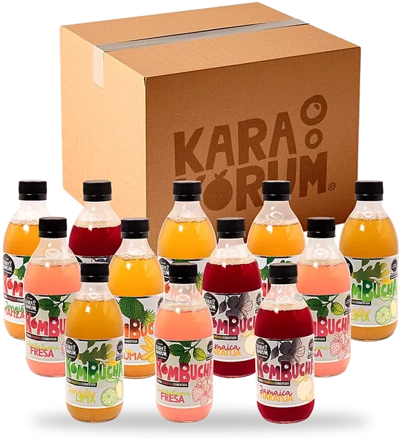 Caja de 12 botellas de Karakorum Kombucha con sus 5 sabores